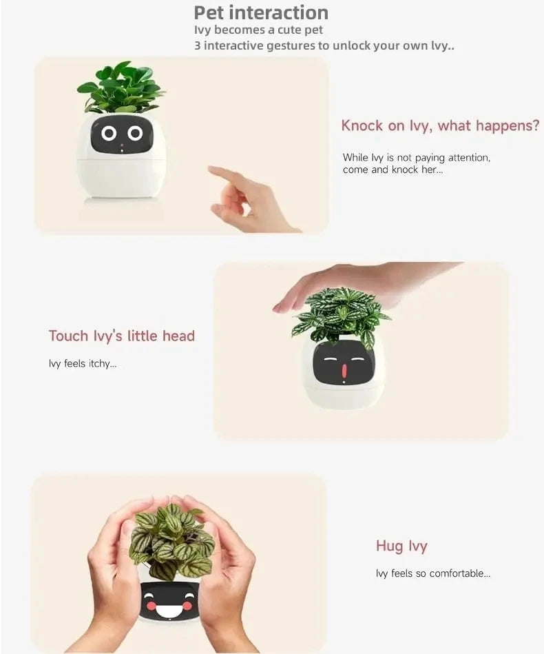 Ivy The Plant Pet
