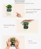 Ivy The Plant Pet