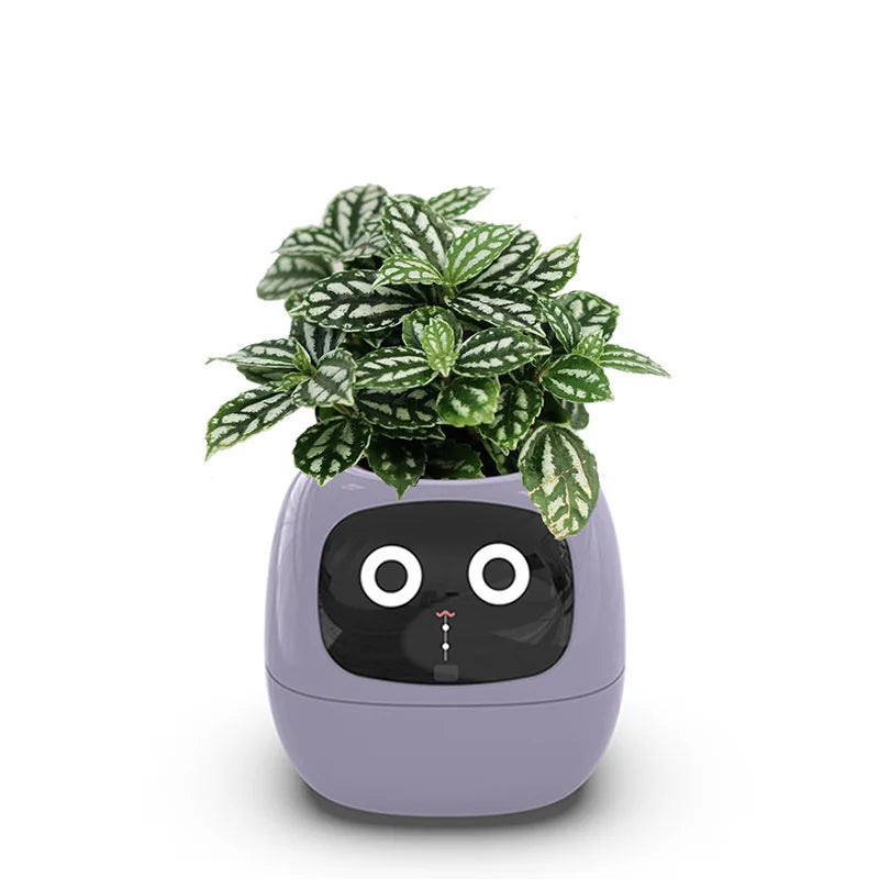 Ivy The Plant Pet
