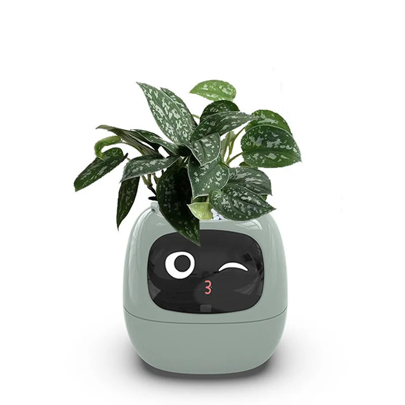 Ivy The Plant Pet