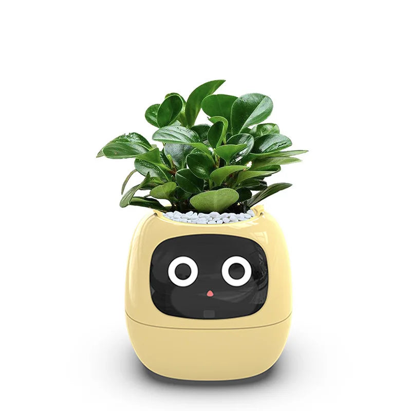 Ivy The Plant Pet