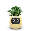 Ivy The Plant Pet