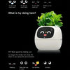 Ivy The Plant Pet