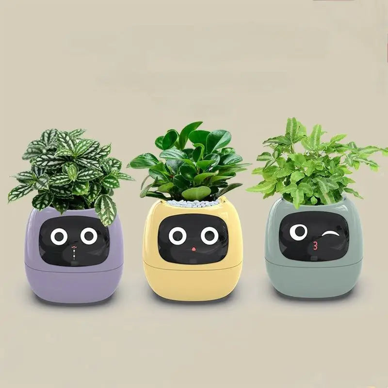 Ivy The Plant Pet