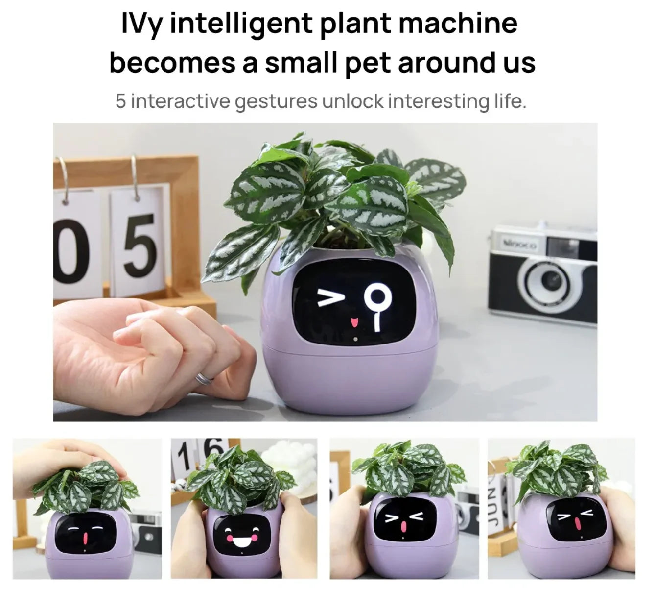 Ivy The Plant Pet