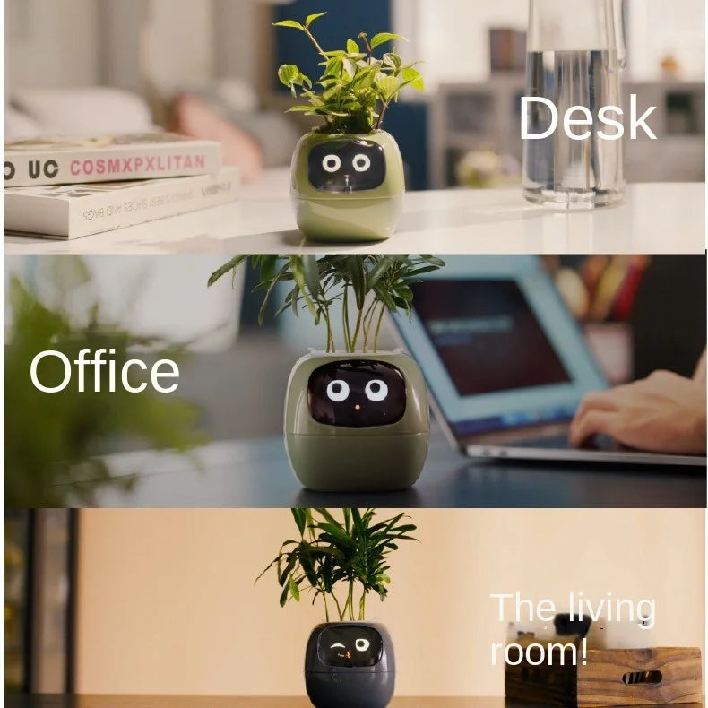 Ivy The Plant Pet
