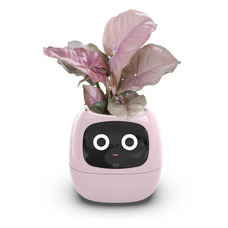 Ivy The Plant Pet