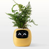 Ivy The Plant Pet