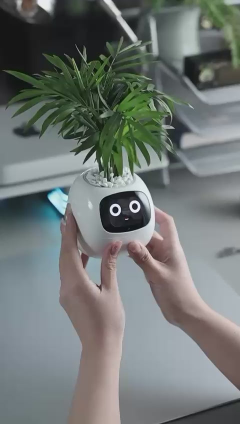 Ivy The Plant Pet