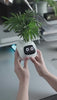 Load and play video in Gallery viewer, Ivy The Plant Pet